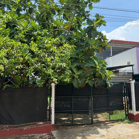 The Lazy Palm Shack Ξενοδοχείο Κοϊμπατόρε Εξωτερικό φωτογραφία